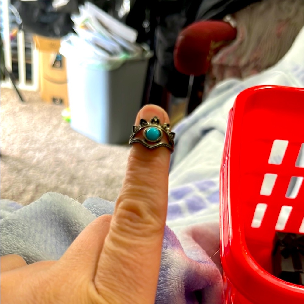 New, Turquoise Stone Eye Ring with Bronze Band